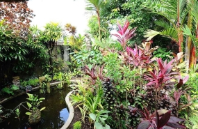 27.-Villa-Mimpi